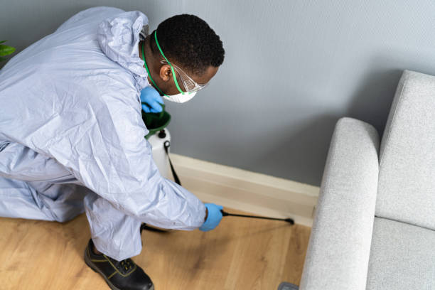 Best Bed Bug Extermination  in Mineola, NY